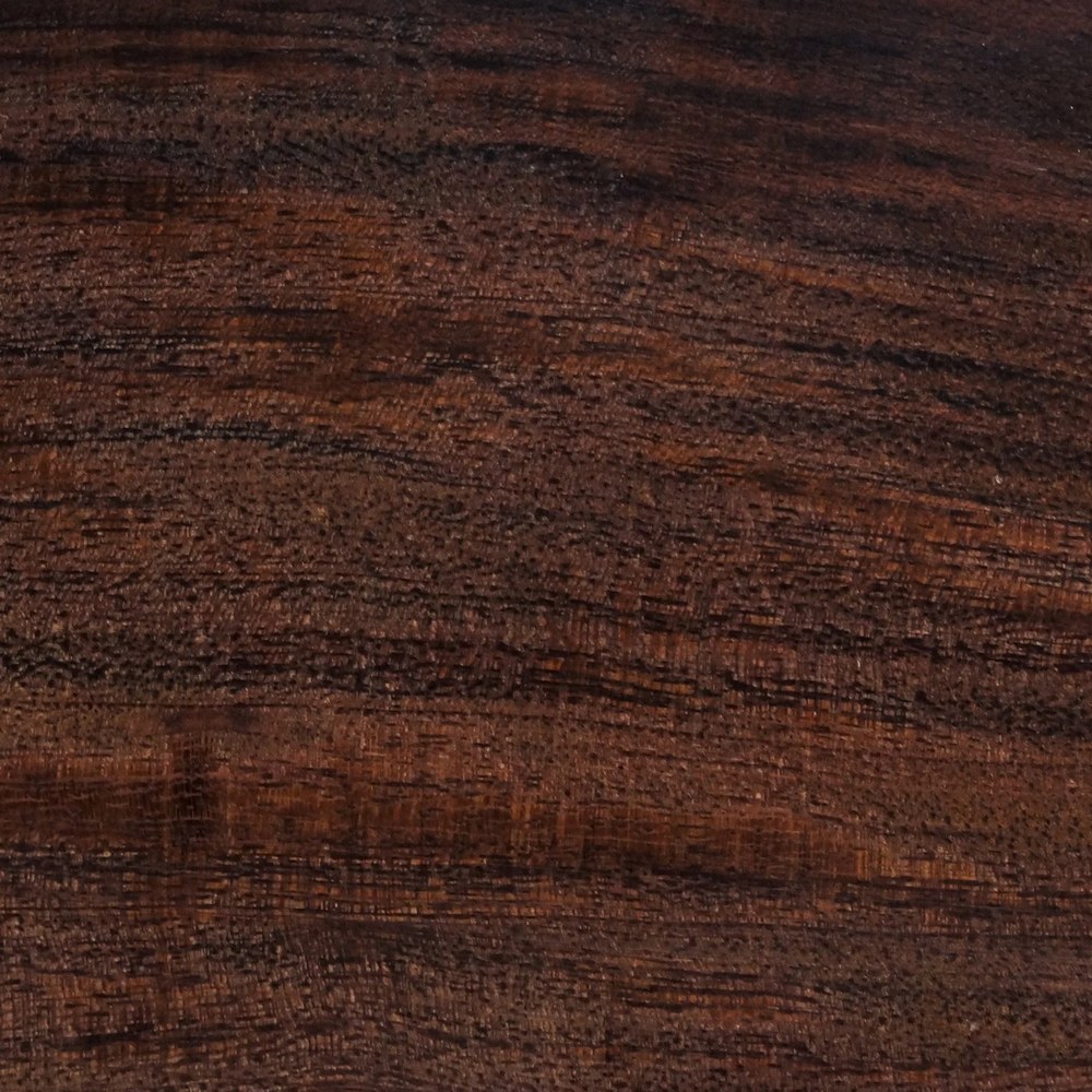 Desert ironwood macro grain