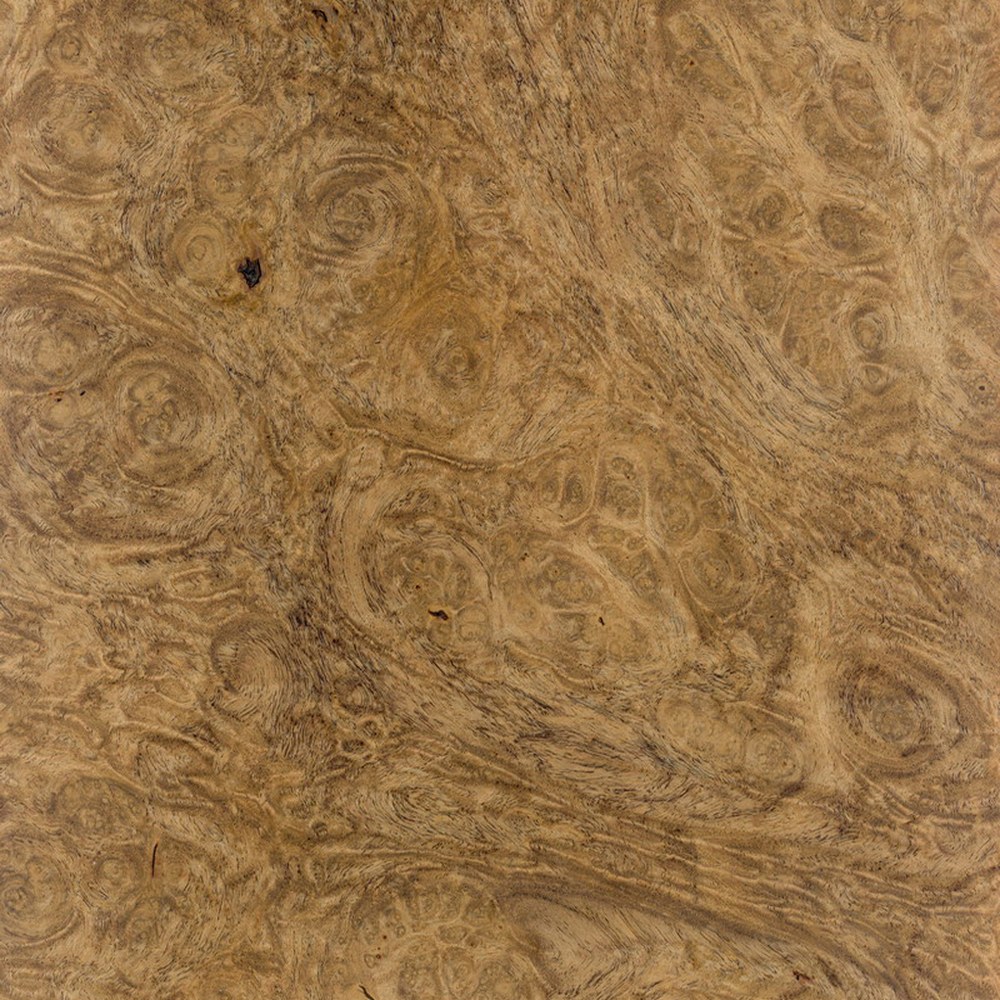 Mesquite burl macro grain with swirling figure